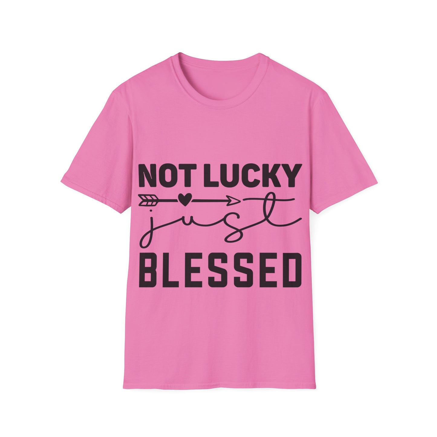 Not Lucky Just Blessed Triple Viking T-Shirt