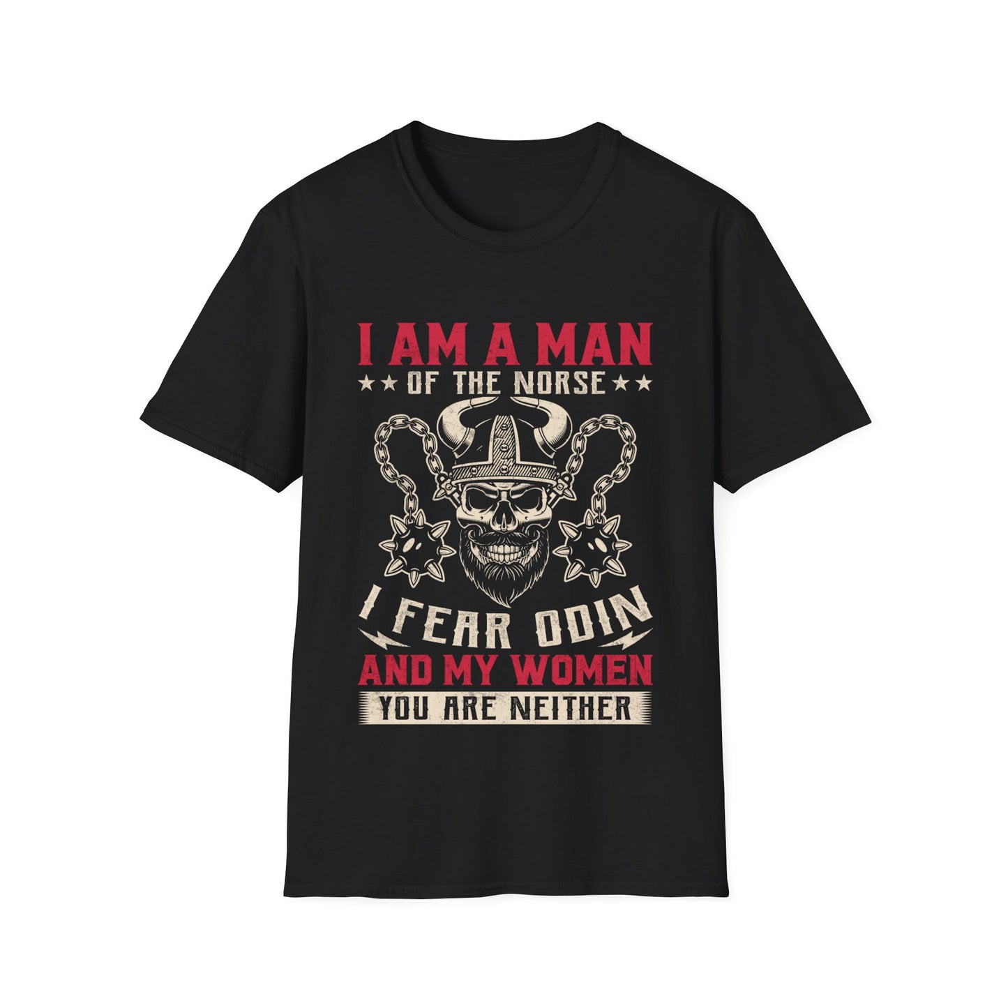 I Am A Man Of The Norse Jag fruktar Odin Och Mina Kvinnor Du är inte heller Viking T-shirt