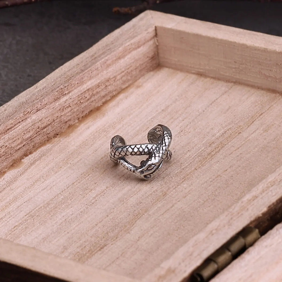 Viking Stainless Steel Snake Winding Clip Earring Jewelry