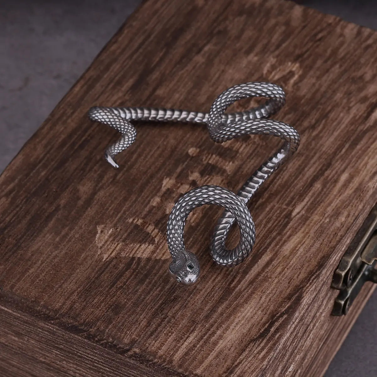 Winding Snake Clip Viking Earrings